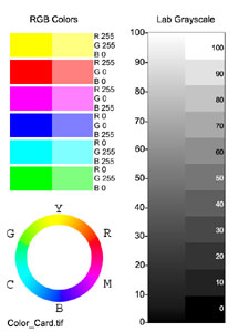 Color_Card.jpg (14458 bytes)