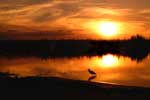Sunset1_ws.jpg (2396 bytes)