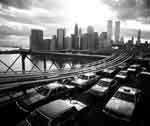 NYCars_ws.jpg (2853 bytes)
