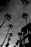 bh_hotel_ws.jpg (3173 bytes)
